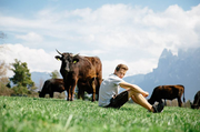 Südtiroler Rinder-Business