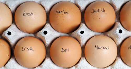 dem anderen dem anderen