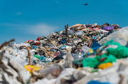 Start-ups gegen Plastikmüll