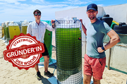 Gründer*in der Woche: Viride