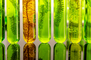 EY Biotechnology Report 2024