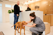 Filu: PetTech-Start-up schafft Wohlfühl-Tierarztpraxen