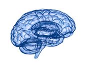 Homepage-Psychologie