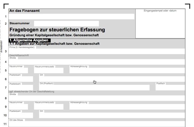 Fragebogen zur steuerlichen Erfassung