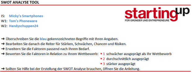 SWOT Analyse Tool: Angaben