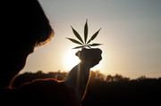 Cannabis – Cannapreneure und der grüne Goldrausch
