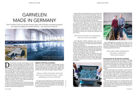 StartingUp Ausgabe - 04/2025