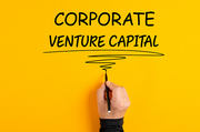Corporate Venture Capital (CVC)