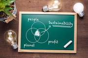 Nachhaltigkeitsreport für Start-ups