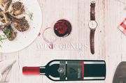Geschäftsidee: Wine Genius