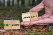 So arbeiten Start-ups wirklich nachhaltig