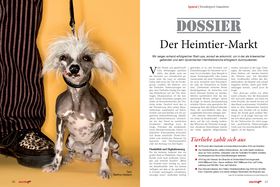 StartingUp Ausgabe - 04/2015