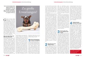 StartingUp Ausgabe - 01/2015