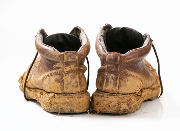 Bootstrapping,Bootstrappen,Bootstrap