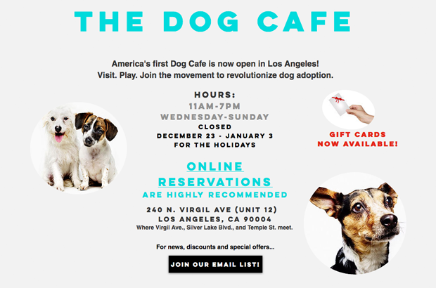 The_Dog_Cafe